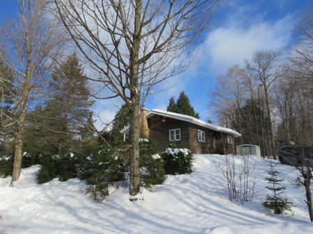 Chalet à 1h De Mtl, Wifi-foyer-accès Lac