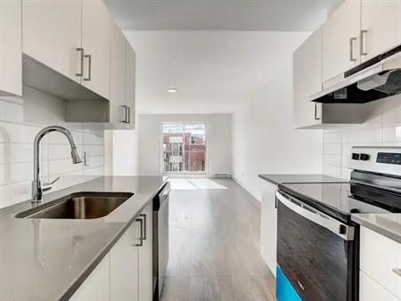 287 Saint-Augustin | 287 Saint Augustin Street, Montreal