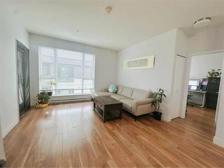 **2BR penthouse apt-Metrotown