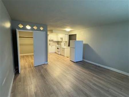 **FOR RENT: NEWLY RENOVATED BACHELOR APARTMENT**