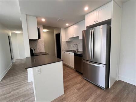 Pet Friendly 2BR/1BA in Burnaby. Spacious, Near SFU, Skytrain, Mall