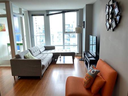 Furnished Downtown 1-bed Apartment