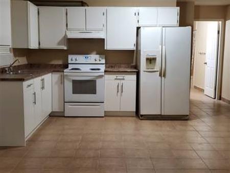 Basement suit with 1 bedroom and one washroom for rent