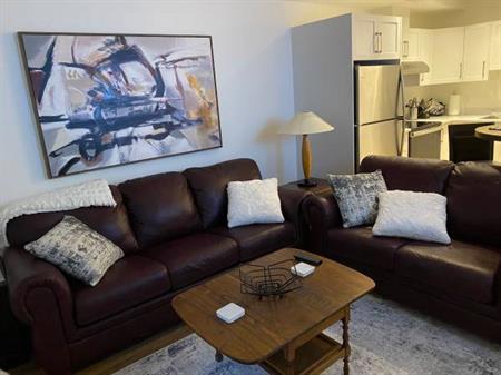 Fully Furnished one bedroom one year old suite