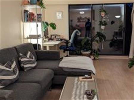 Kits 1/BD 1/BA Furnished Sublet March-April