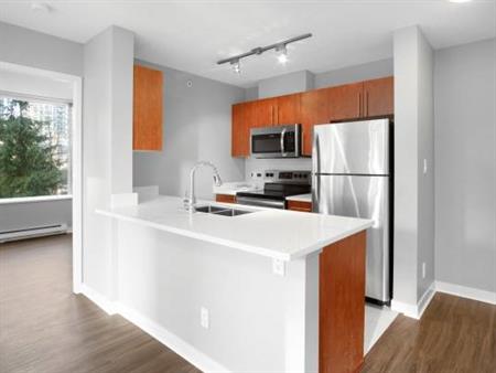 1 BD, Modern Fitness Facility, Fully-Equipped Contemporary Kitchen