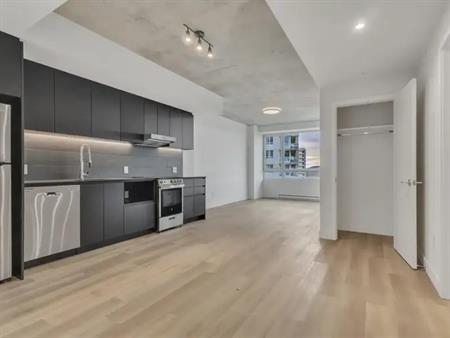 5100 de l'Assomption Apartments | 5100 Boulevard de l'Assomption, Montréal - Est