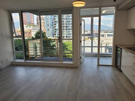 Newly Renovated 1 Bed + Den suite Near Stadium Skytrain