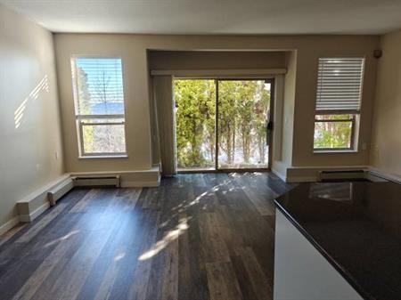 One Bedroom Upper Lynn Valley