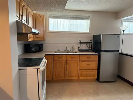 Lower level suite for Rent | 44 Marthas Haven Gardens Northeast, Calgary, AB T3J, Canada, Calgary