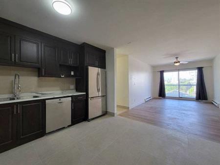 NEWLY RENOVATED + Spacious 2 Bed + 1 Bath - UNFURNISHED