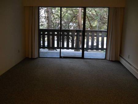 Spacious 1 Bedroom Apartment (Unit 217)