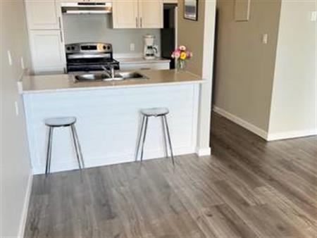 White Rock Fully Renovated