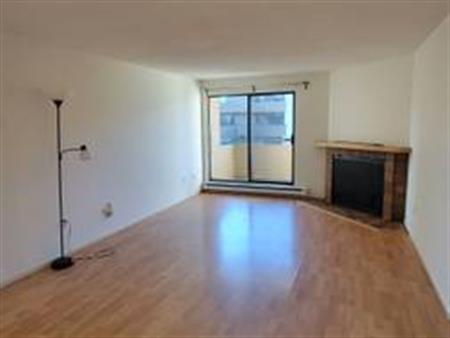 Richmond Spacious Newly Reno One Bedroom/One Bath Apartment for Rent