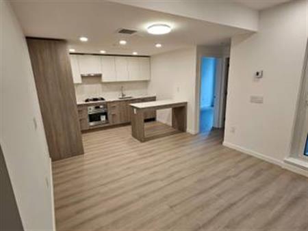 Brand New 1 Bed + 1 bath condo for rent