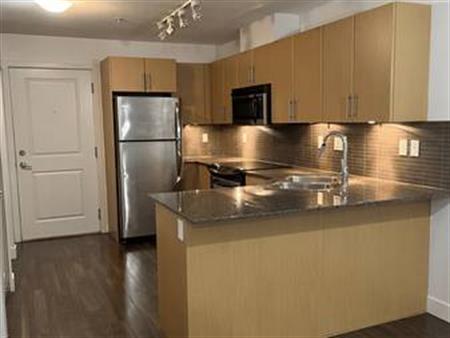 Spacious 1 bedroom 1 bathroom - Walnut Grove/Carvolth