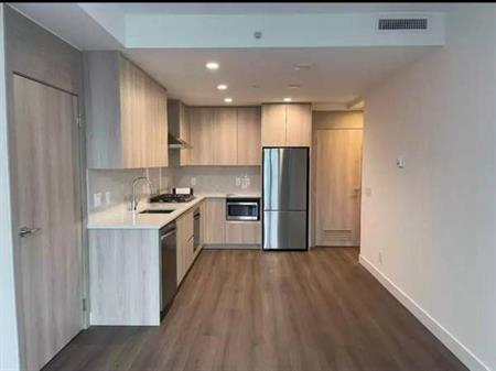 2 Bed 1 Bath Apartment ( Brand New) City Central