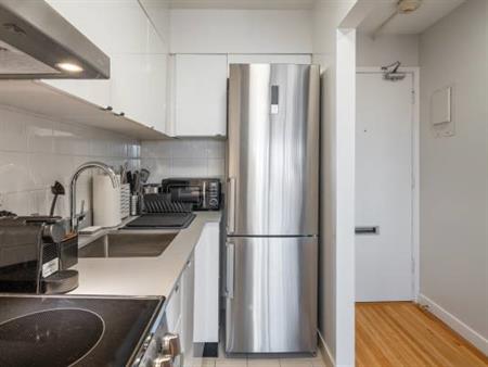 Fantastic Fully Renovated Studio With SS appliance, Vancouver Downtown