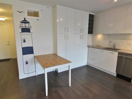 Spacious 2 bed, 1 bath in Chinatown! (Unfurnished) | 231 East Pender Street, Vancouver