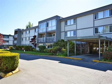 Steveston updated apartment with a pool! Heat is included!