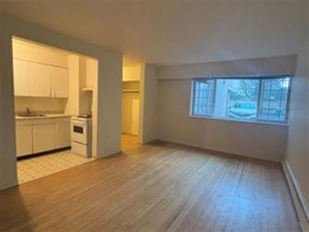 Ground floor bachelor unit in the heart of the West End