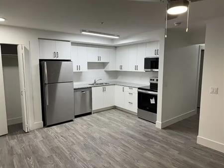 Brand new 2 Bedroom Condo Close to West Edmonton Mall | 9504 182 Street Northwest, Edmonton