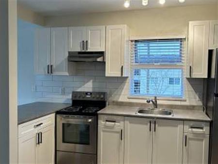 Fully Renovated 1-Bedroom | One Month Free - $2150