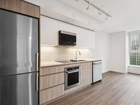 1BR Homes in BRAND NEW Building - Amenity Rich - Gym, Lounge, Pets OK!