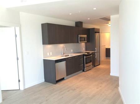 Modern Finished 1 Bed+ Den! ACW #2010