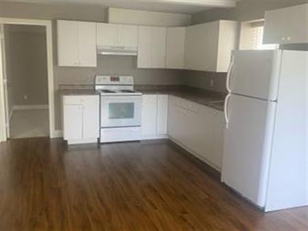 Ground level 1 bedroom Basement for Rent Surrey, Cloverdale $1450