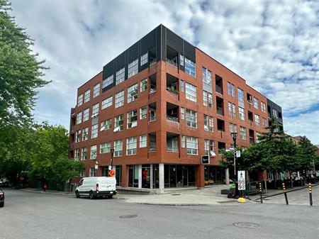 Appartement Montréal (Ville-Marie) À Louer