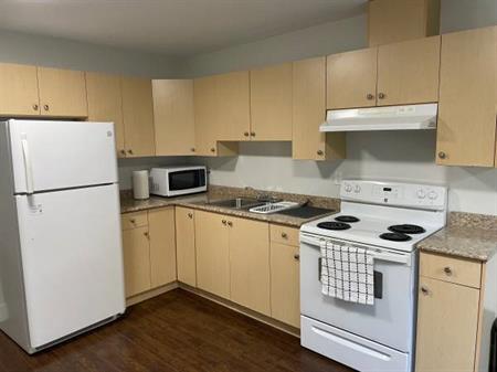 1 & 2 Bedroom Basement Suites for Rent in Envercreek, Surrey - $1500