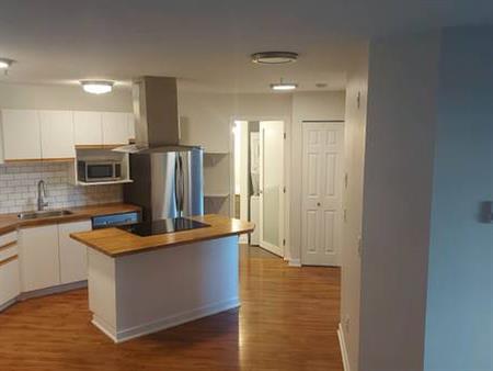 Bright, renovated 2br unit in Garibaldi Estates