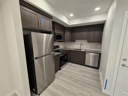 Basement  2 Beds, 1 Bath (Newly Constructed) in Mahogany Lake Community, Calgary | Magnolia Vw SE, Calgary