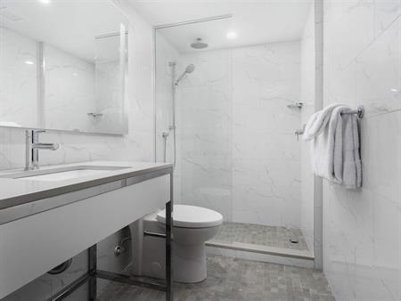 1 CH - 1 SDB - Montréal - $1,695 /mo