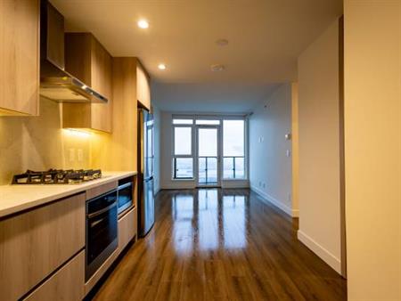 1bd + Den brand-new apartment at high floors for rent