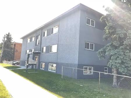 About Affordable Living in a Renovated 1- Bedroom Apartment! | 10215 108 Ave Nw, Edmonton