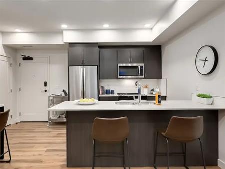 Lease Takeover for 2 Bedroom, 2 Bathroom Unit in Brand New Blume Apartments | 411 - 4755 Dalton Drive, Calgary