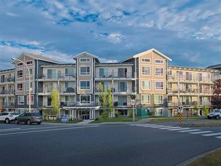 Window Coverings, Dishwasher, On-Site Management