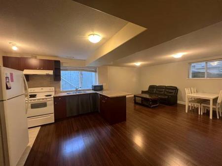 Spacious Basement Suite with Parking (Langley)