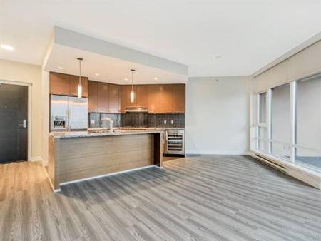 Metrotown luxury large 1 bedroom