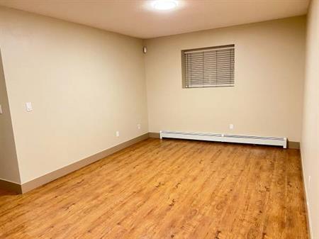 Surrey Clayton 1 Bed & 1 Bath Basement