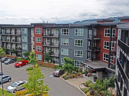 In-suite Laundry, Security Camera, Stove