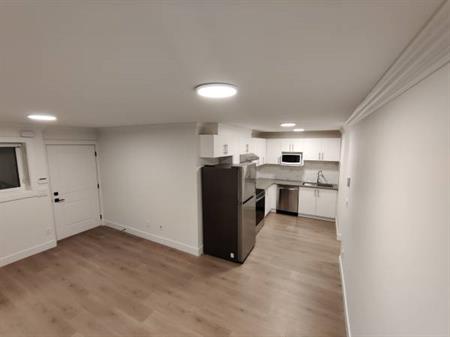 2 Bedroom Basement Suite - 10th and Cumberland Burnaby New West