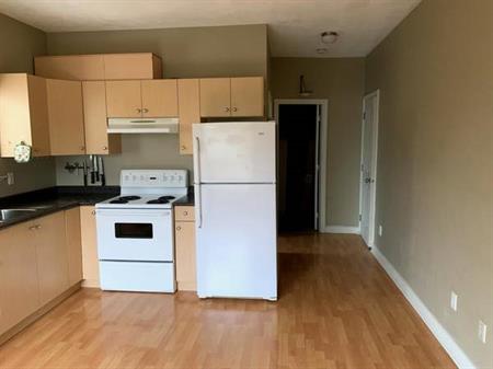 Basement Suite - Central Ladner