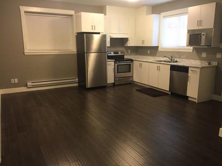 Bright and spacious walk-out basement suite