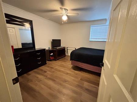 1 Bedroom + Laundry $1245