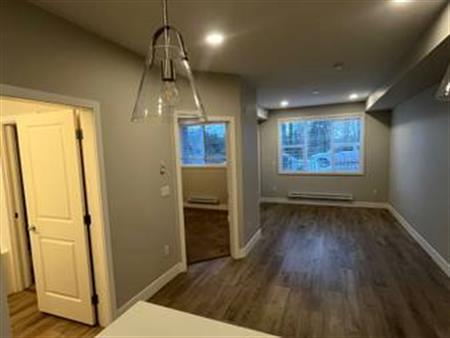 1 Bed 1 Bathroom apartment- March 1st!