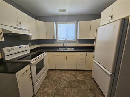 Lower 1 Bedroom Suite in Duncan