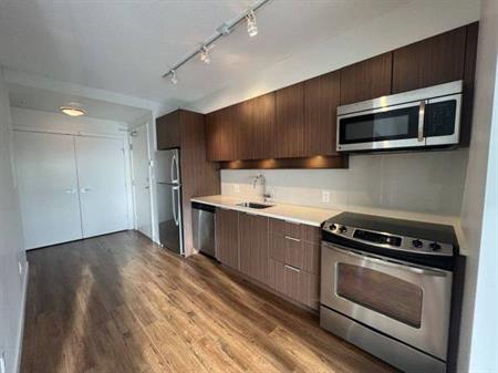 Bright South-Facing Unit 1 Bed 1 Bath at EVOLVE